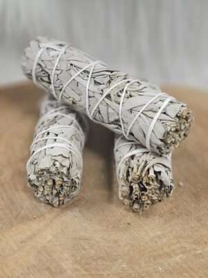 Witte salie smudge stick