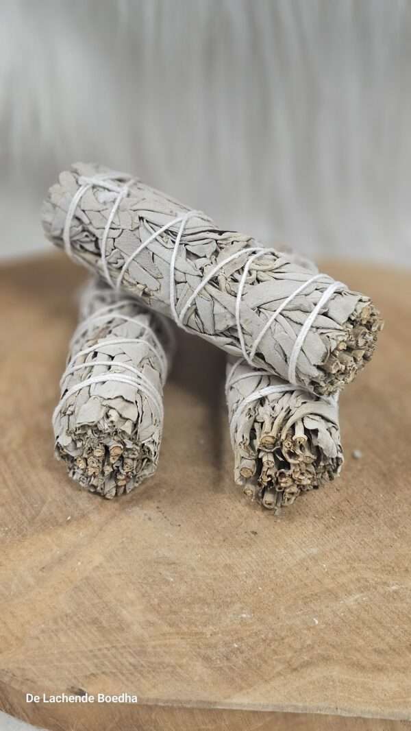 Witte salie smudge stick