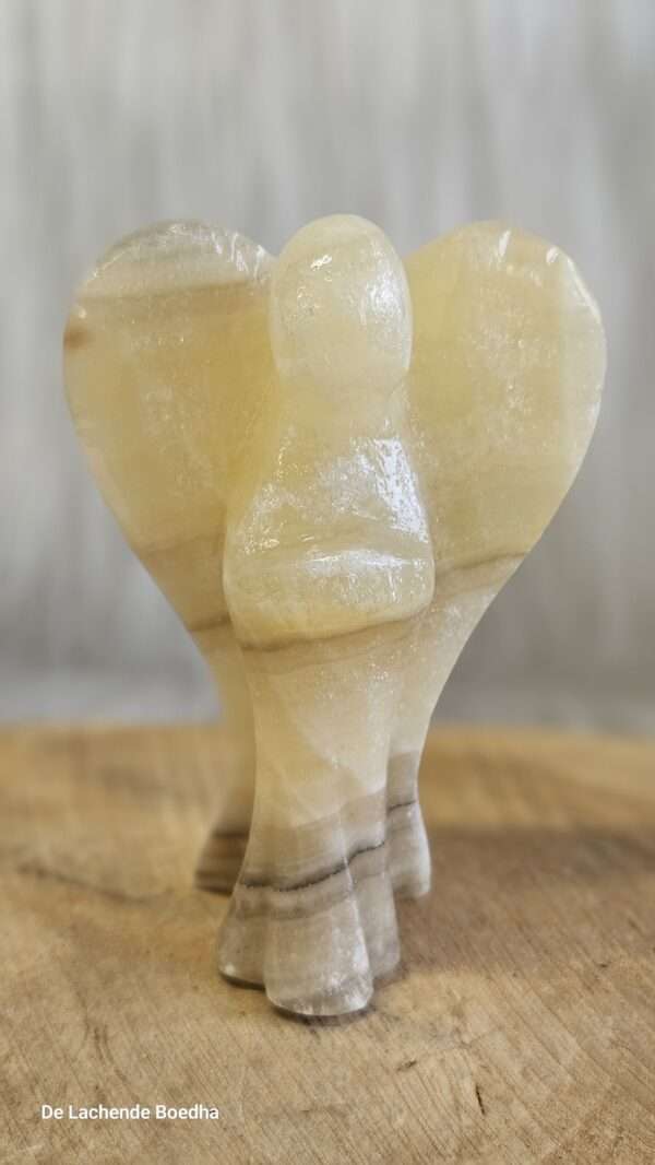 Zebra calciet engel