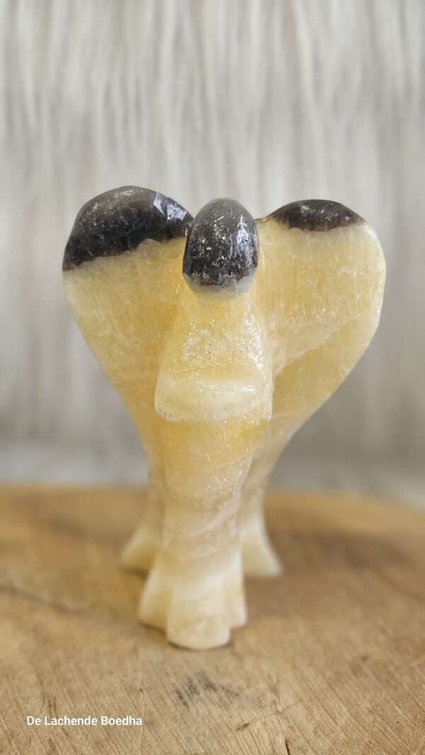 Zebra calciet engel