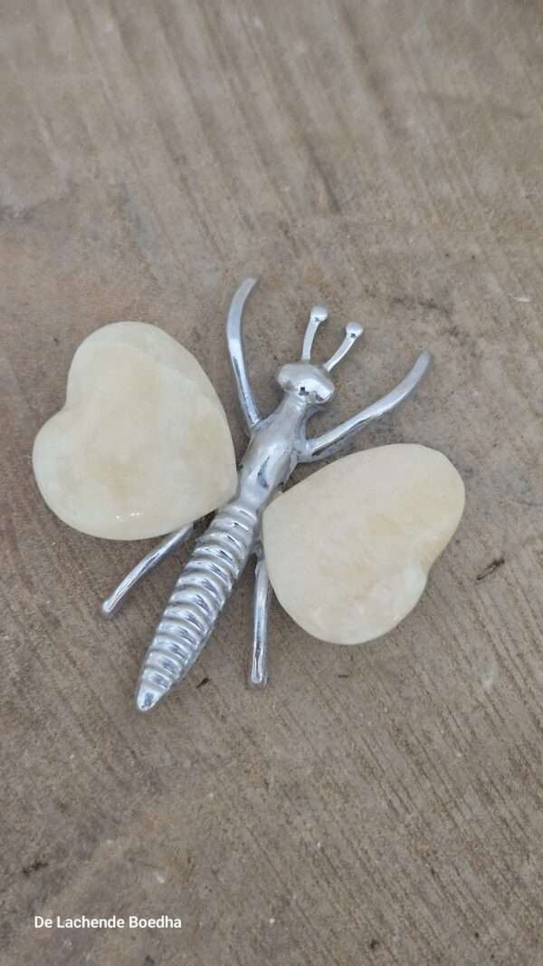Calciet vlinder