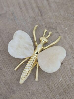 Calciet vlinder
