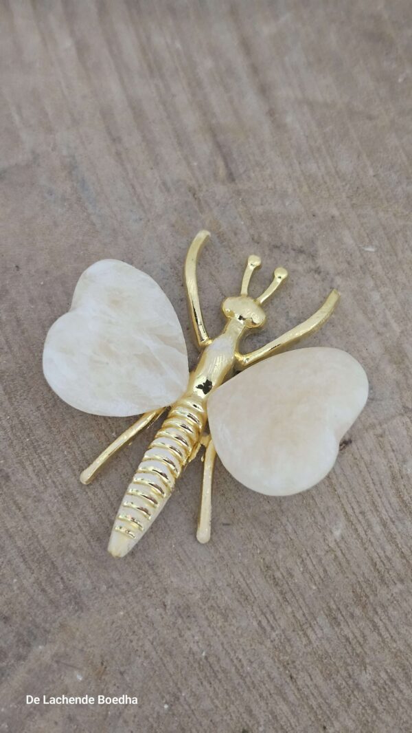 Calciet vlinder