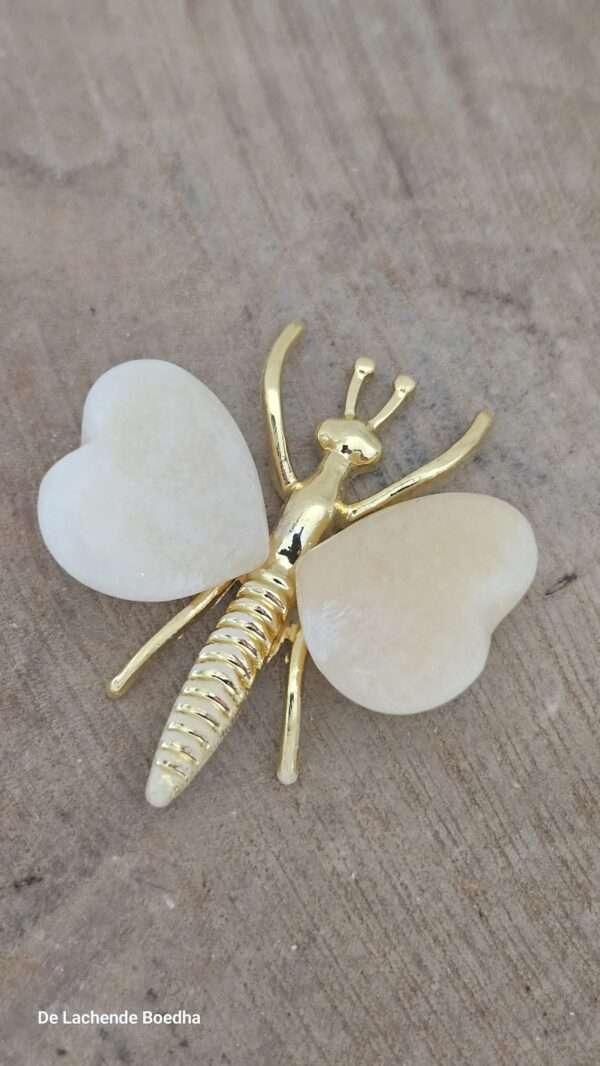 Calciet vlinder