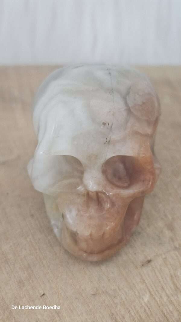 Agaat skull