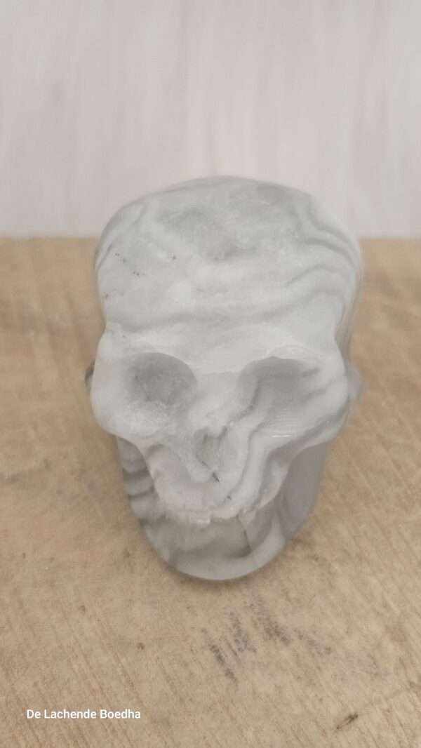 Dragon blood skull
