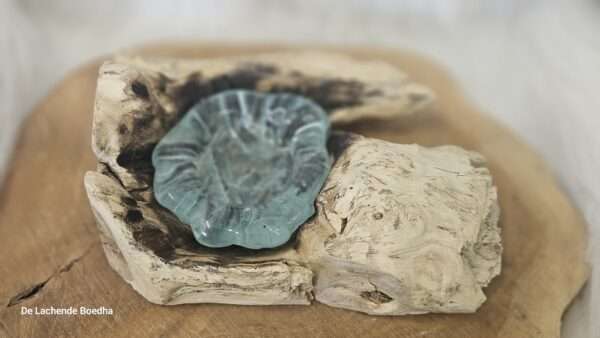 Drijfhout met enkele waxine