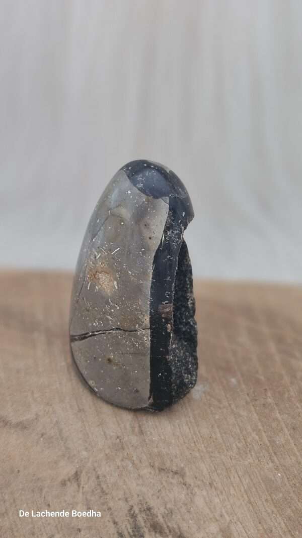 Septarie sculptuur - Afbeelding 3