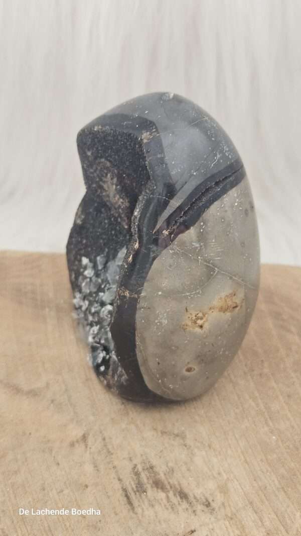 Septarie sculptuur - Afbeelding 3