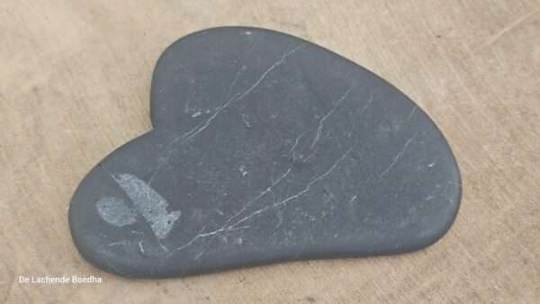 Gua Sha shungiet