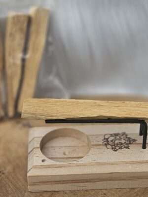 Palo Santo / Salie brander ganesha