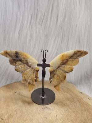 Golden healer vlinder