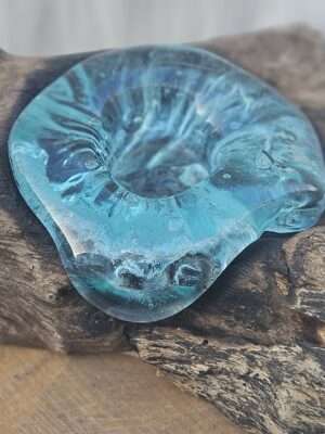 Drijfhout met enkele waxine