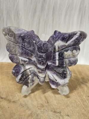Chevron amethist vlinder