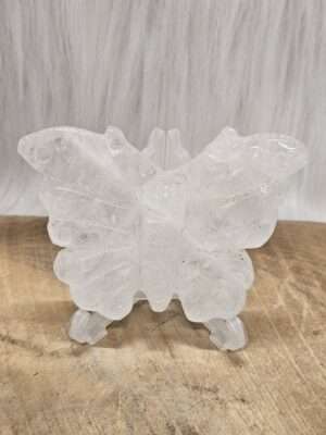 Bergkristal vlinder