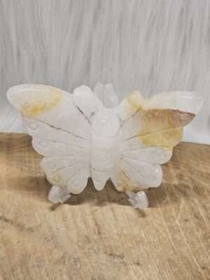 Golden healer vlinder