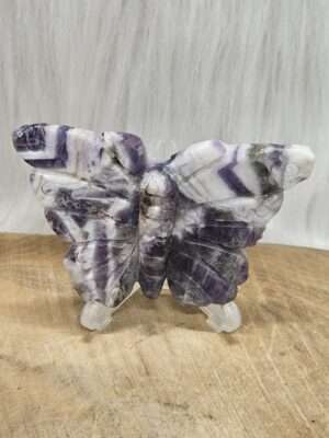 Chevron amethist vlinder