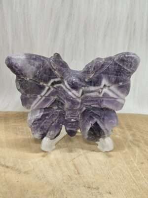 Chevron amethist vlinder