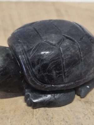 Labradoriet schildpad