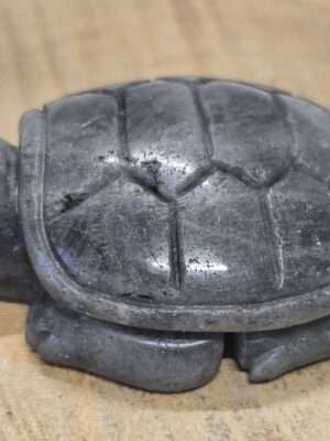 Labradoriet schildpad