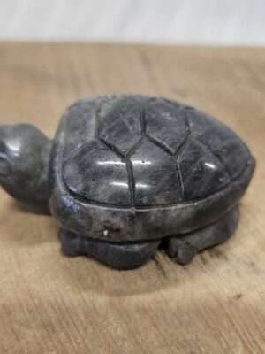 Labradoriet schildpad