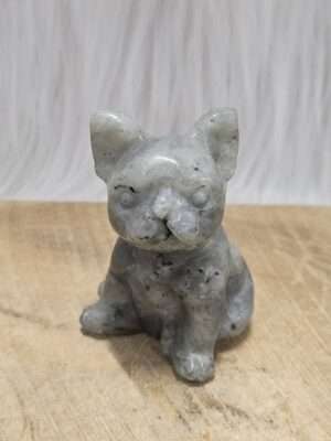 Franse bull Labradoriet