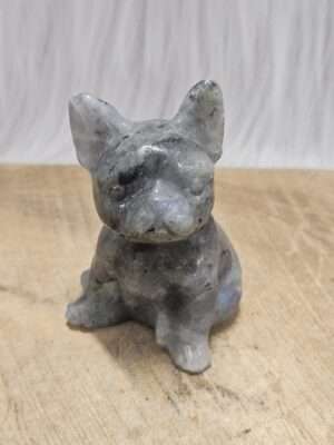 Franse bull Labradoriet