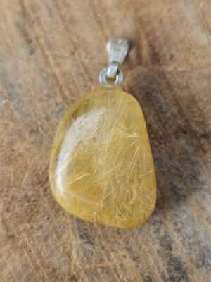 Goud rutiel hanger